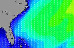 florida wave models